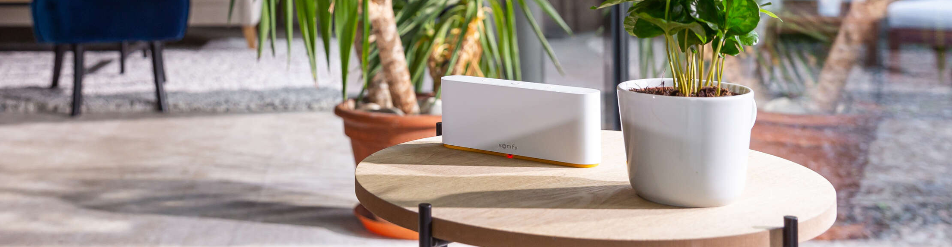 TaHoma_Switch_Shoot_Savigny_2022_Vanessa_Andrieux_HD_451